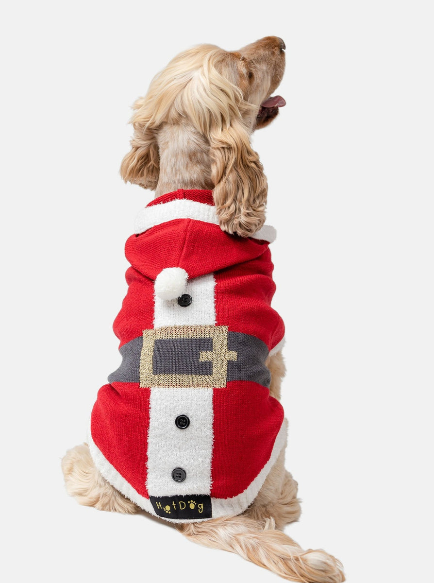 Dog santa deals sweater